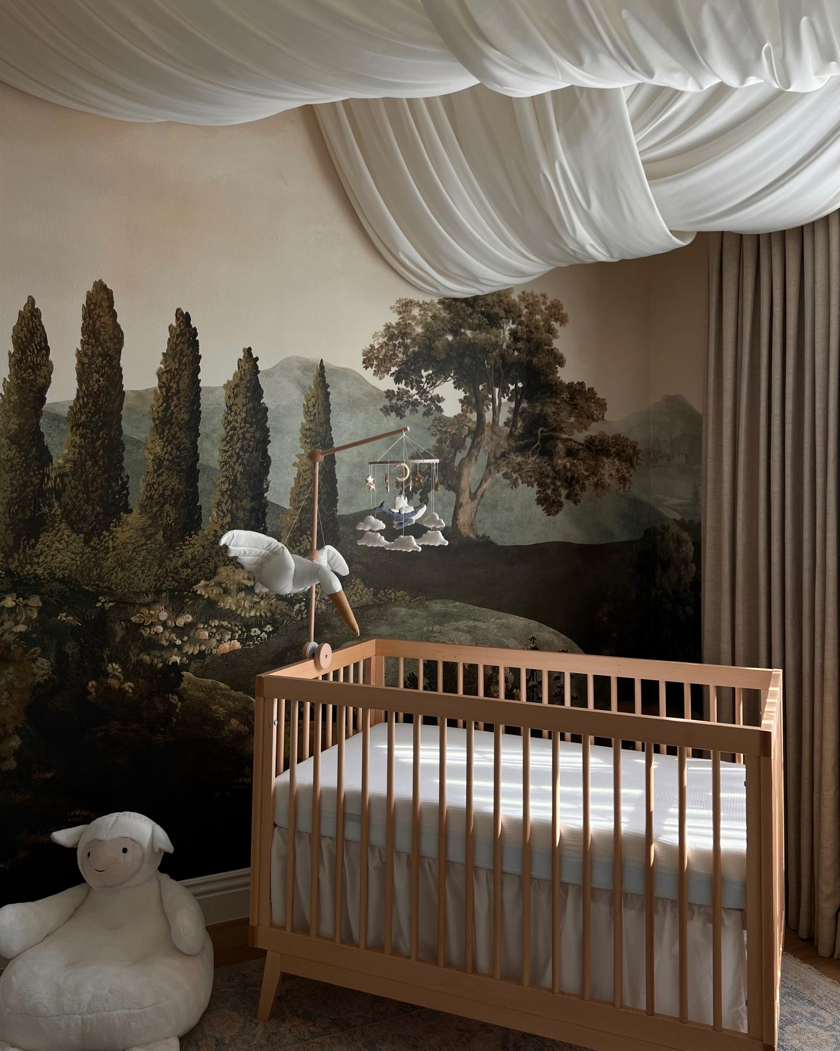 Imaginative Wall Murals: Transforming Kids' rooms into worlds of wonder
