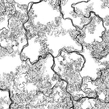 Abstract Sketch Black