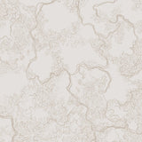 Abstract Sketch Pale Beige