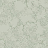 Abstract Sketch Light Green