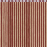 The Bold Stripe Wild Bark