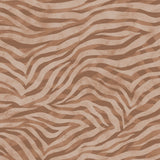 Eclectic Zebra Terrakotta