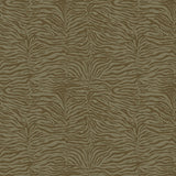 Bold Zebra Olive Green