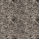 Bold Zebra Black