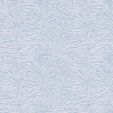 Bold Zebra Ice Blue