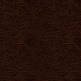 Bold Zebra Dark Brown