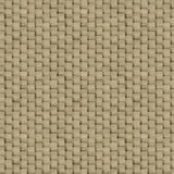 Damier Olive Moss