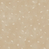 Organic Dot Sand