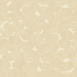 Graphic Flora Creme