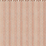 Gentle Stripe Rose