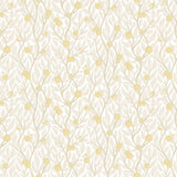 Citrus Tree Pale Yellow