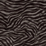 Eclectic Zebra Black