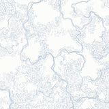 Abstract Sketch Light Blue