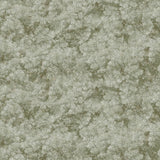 Wild Forest Light Olive