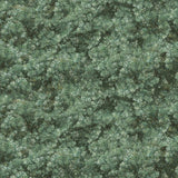 Wild Forest Ivy Green