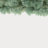 Sky Wild Forest Ivy Green