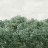 Climbing Wild Forest Ivy Green