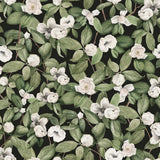 Magnolia Flower Black