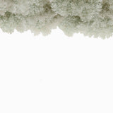 Sky Wild Forest Light Olive