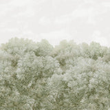 Climbing Wild Forest Light Olive