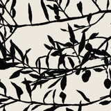 Olive Branch Black