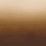 Shifting Gradient Ochre
