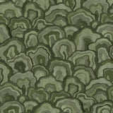 Funghi Hills Green