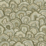 Funghi Hills Light Olive