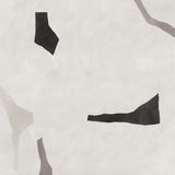 Shifting Shapes Black