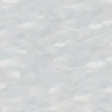 Vintage Landscape Sky Blue