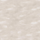 Vintage Landscape Sky Beige
