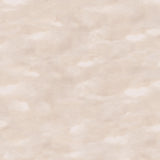 Vintage Meadow Sky Beige