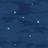 In Our Garden Sky Night