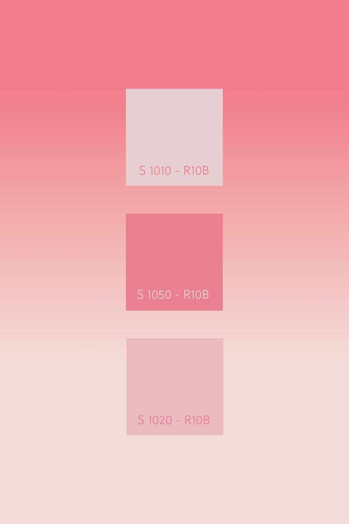 11 Pink Gradient Color Code Pink Gradient Color | Pastel wall murals for living rooms – belarteSTUDIO