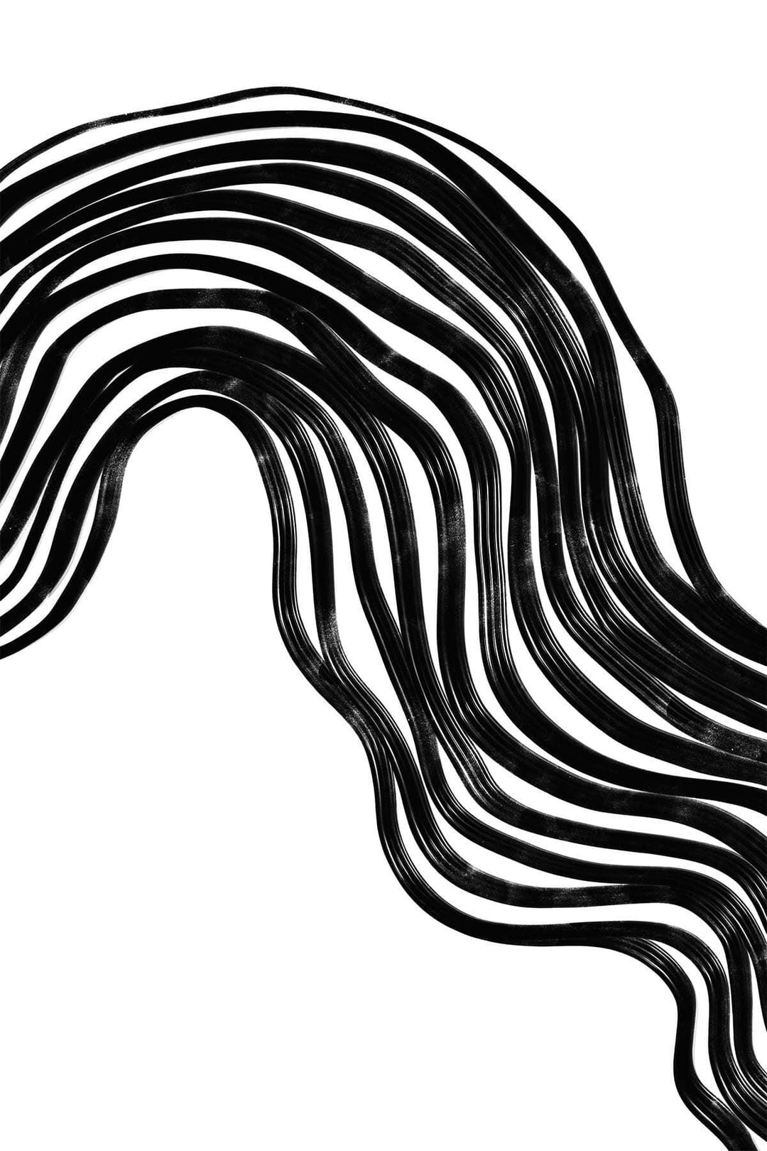 Flowline Two | Black and White wall mural - belarteSTUDIO.