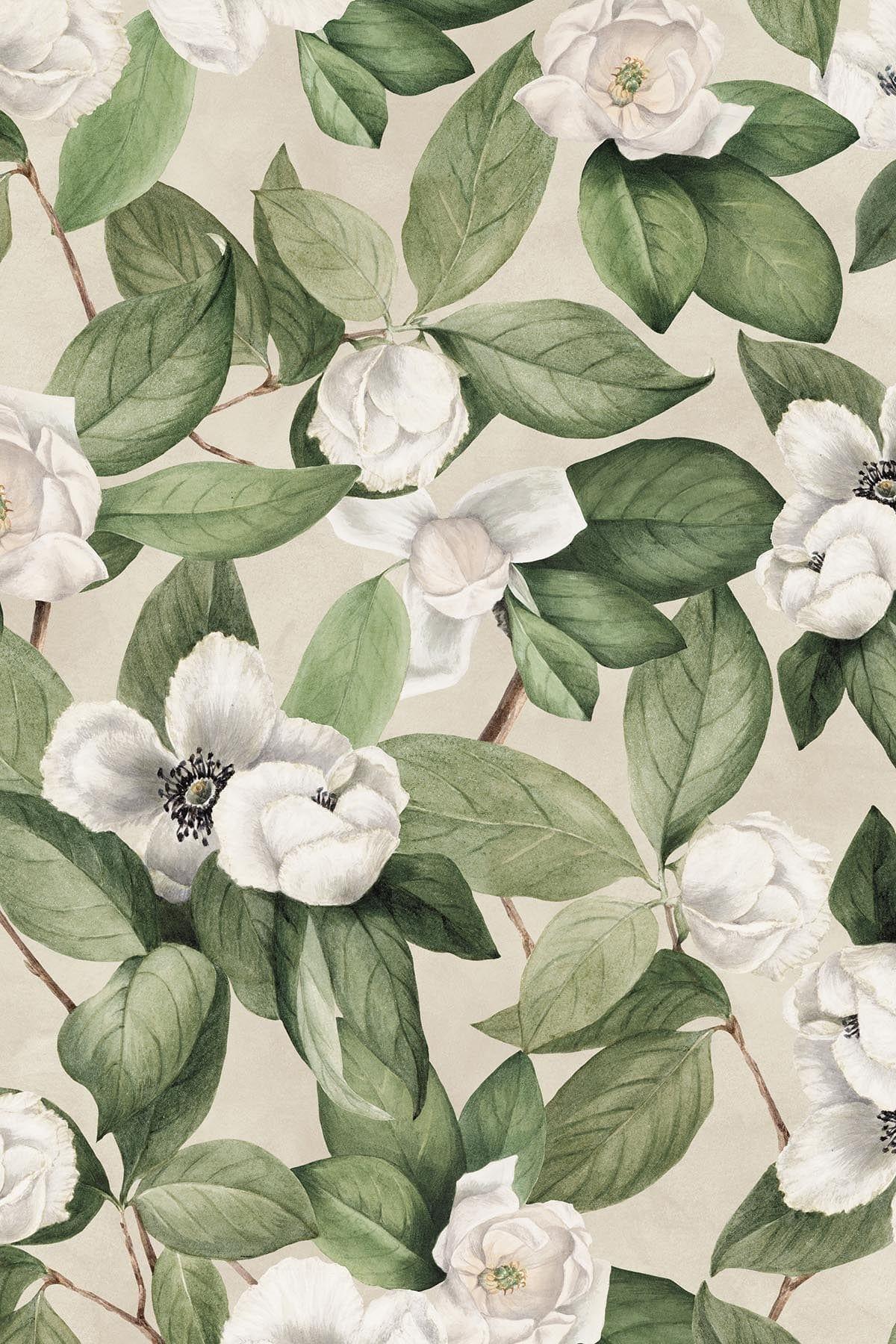 magnolia woven wall planter Magnolia Flower | Flower wall murals