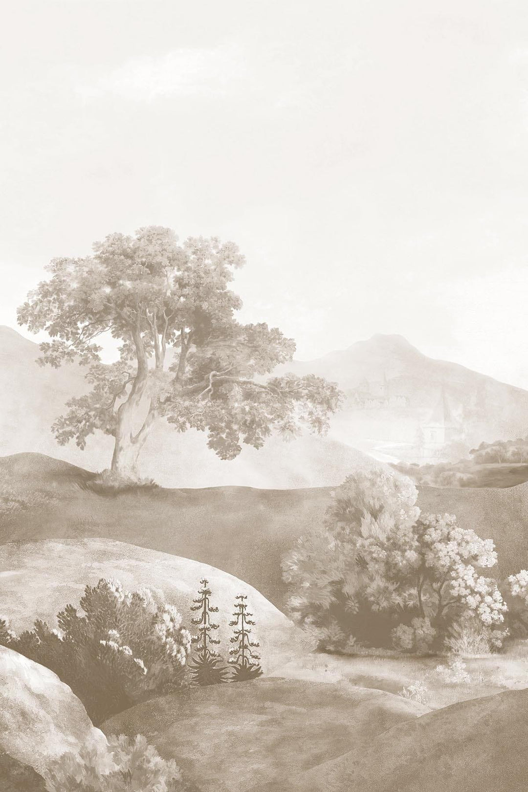 old landscape photos