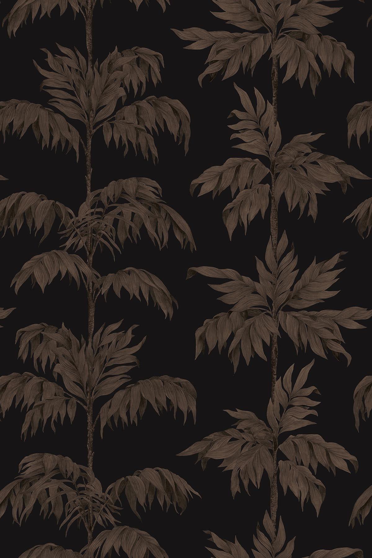dark palm tree wallpaper